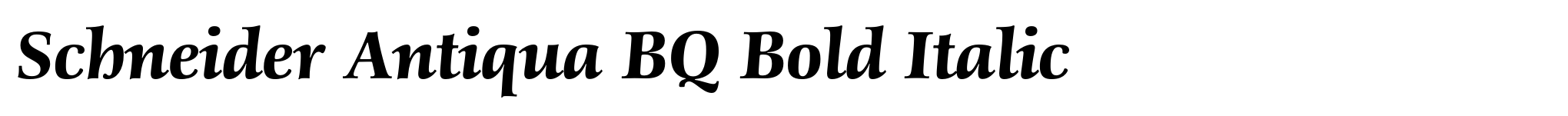 Schneider Antiqua BQ Bold Italic image